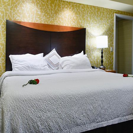 Fairfield Inn Hartford Airport Windsor Locks Exteriér fotografie